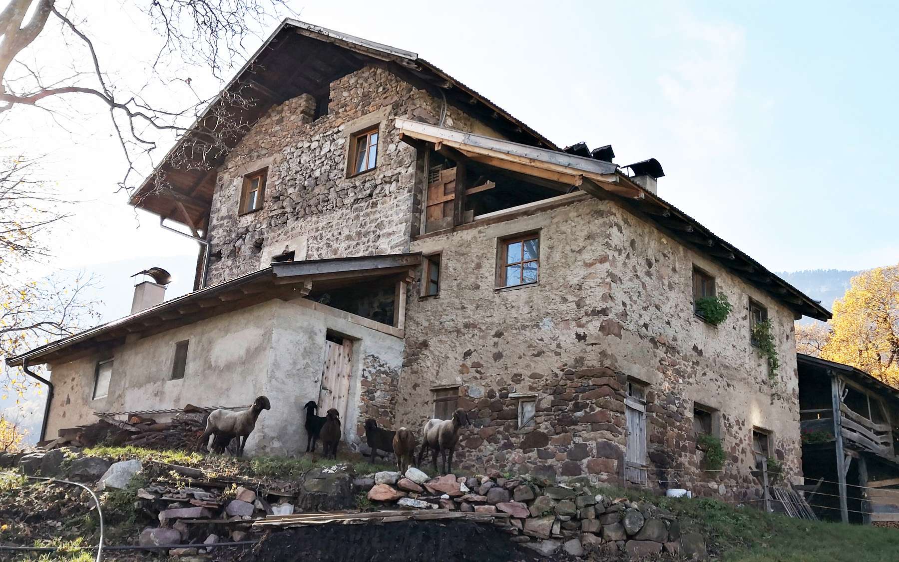 Haus K - Mair am Turm (06)