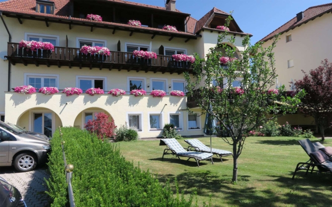 BergFink (02)
