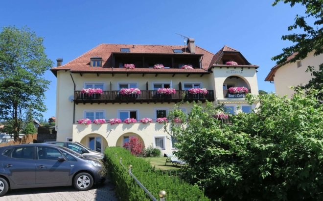 BergFink (03)