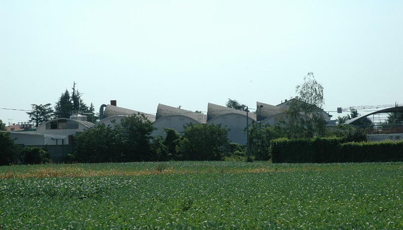 Machbarkeitsstudie Brazzale, 2008 - Zané (VI)