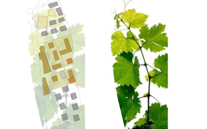 Zona verde Druso EST (24)