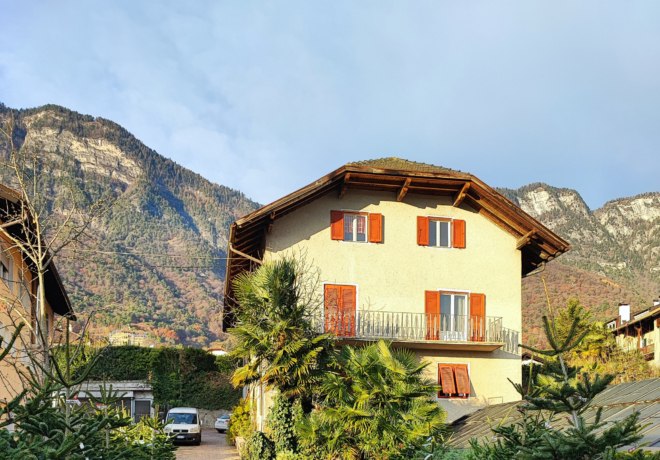 Haus Chizzali (18)