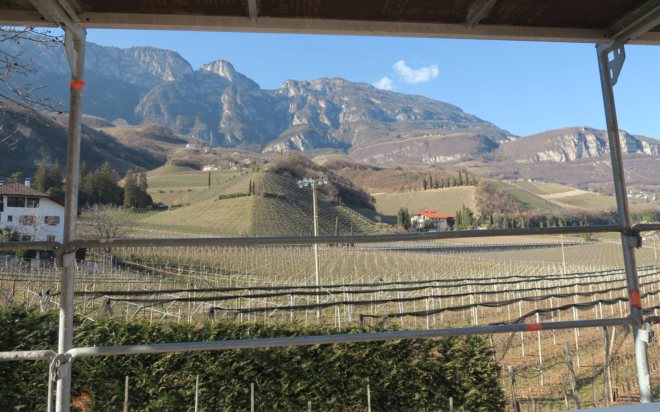 Brunnenhof (39)