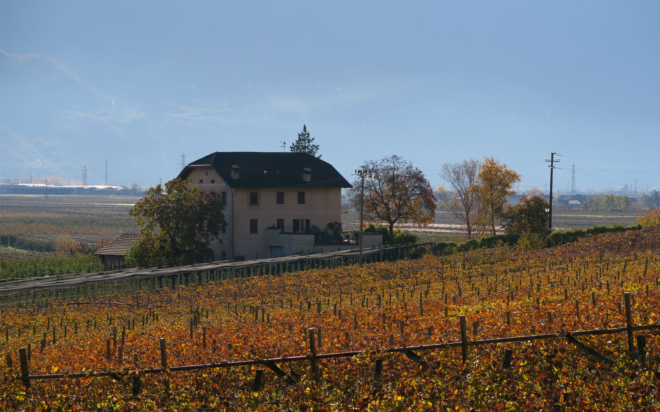 Brunnenhof (58)